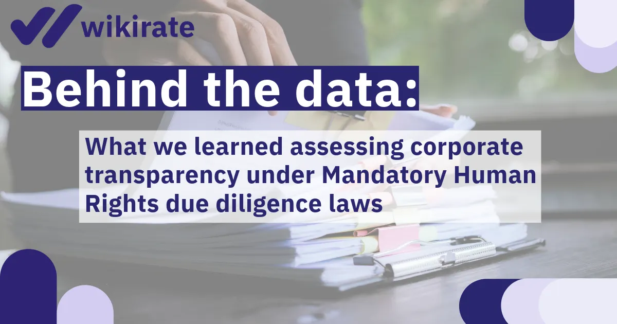 Behind the data: What we learned assessing corporate transparency under Mandatory Human Rights due diligence laws